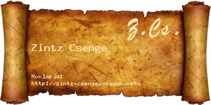 Zintz Csenge névjegykártya